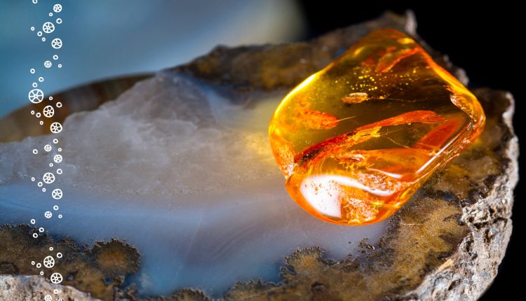 Kehribar Taşı Nedir? Özellikleri Nelerdir?